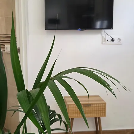 La Perlita Apartment *